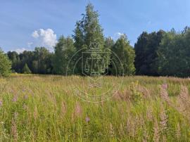, Республика Татарстан